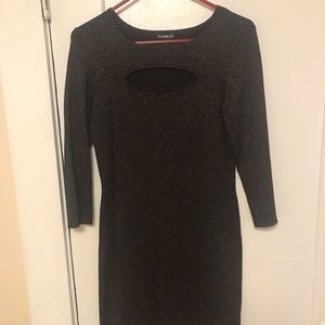 EXPRESS Party Dress